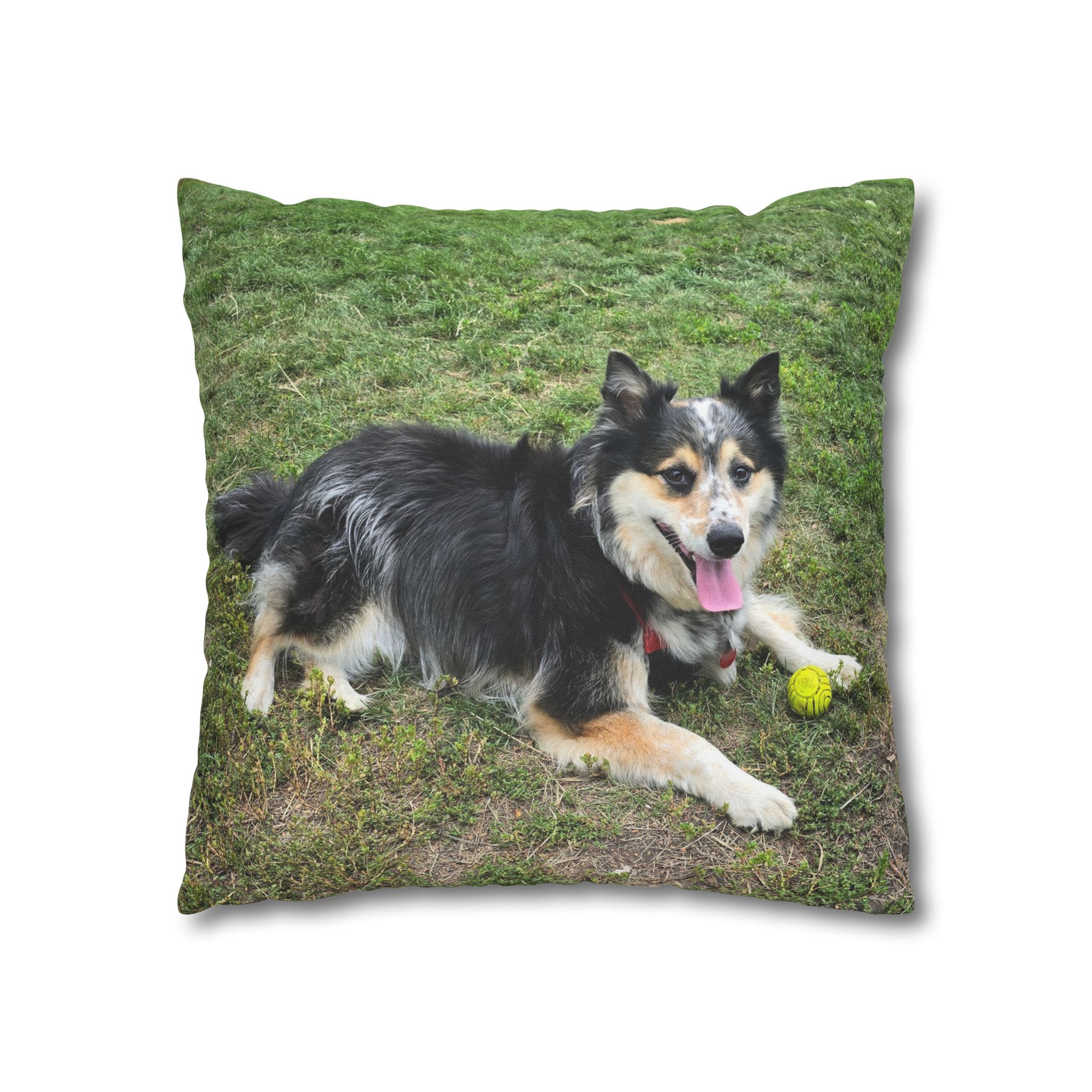 The Seto. Pillowcase — Outdoor Dog Photo Decorative Throw Pillow - Image 7