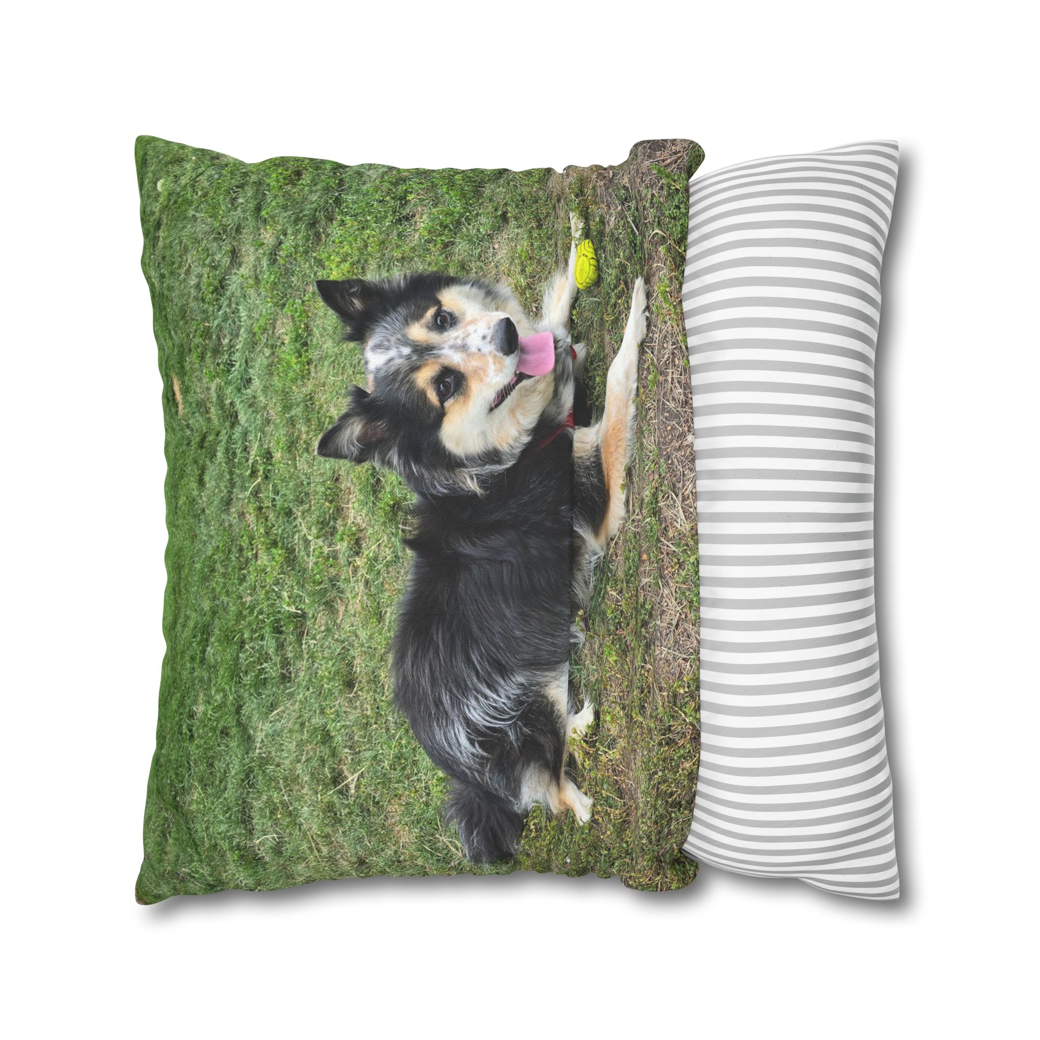 The Seto. Pillowcase — Outdoor Dog Photo Decorative Throw Pillow - Image 16