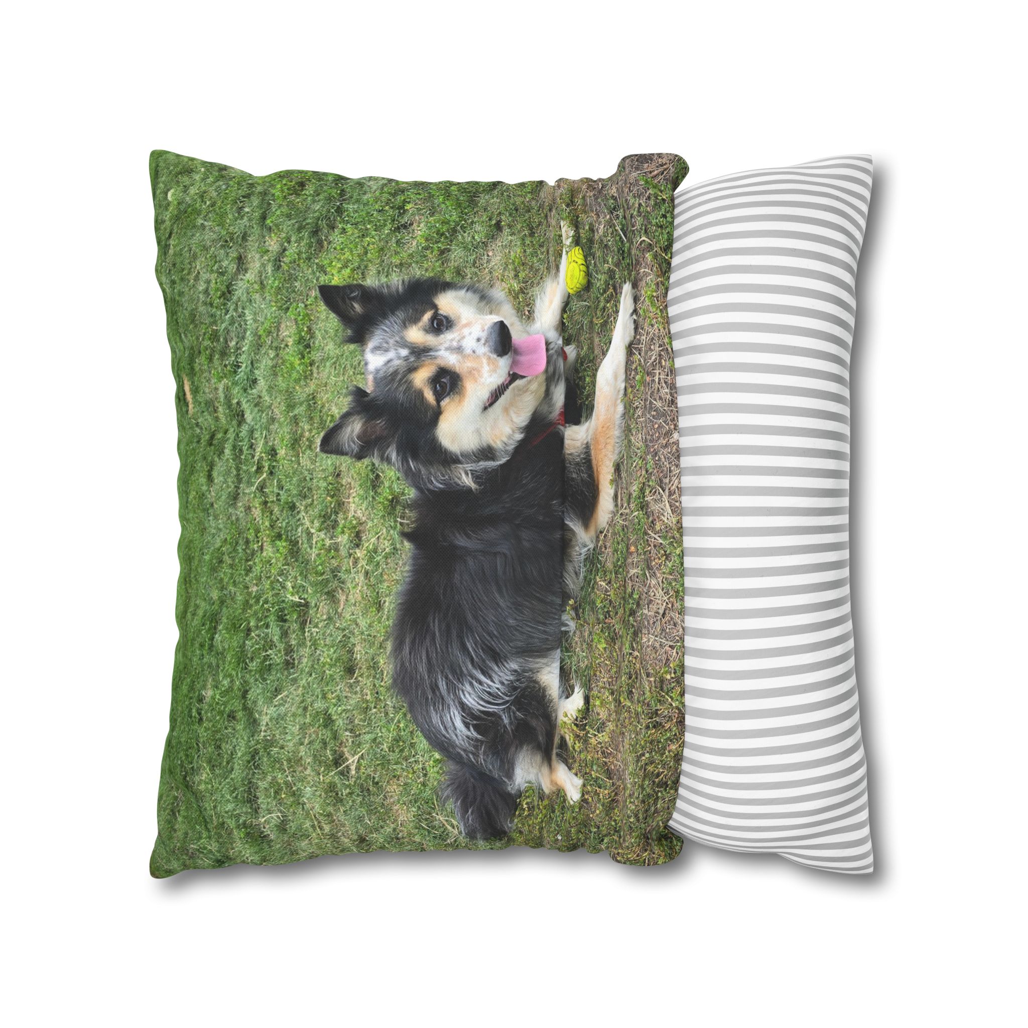 The Seto. Pillowcase — Outdoor Dog Photo Decorative Throw Pillow - Image 12