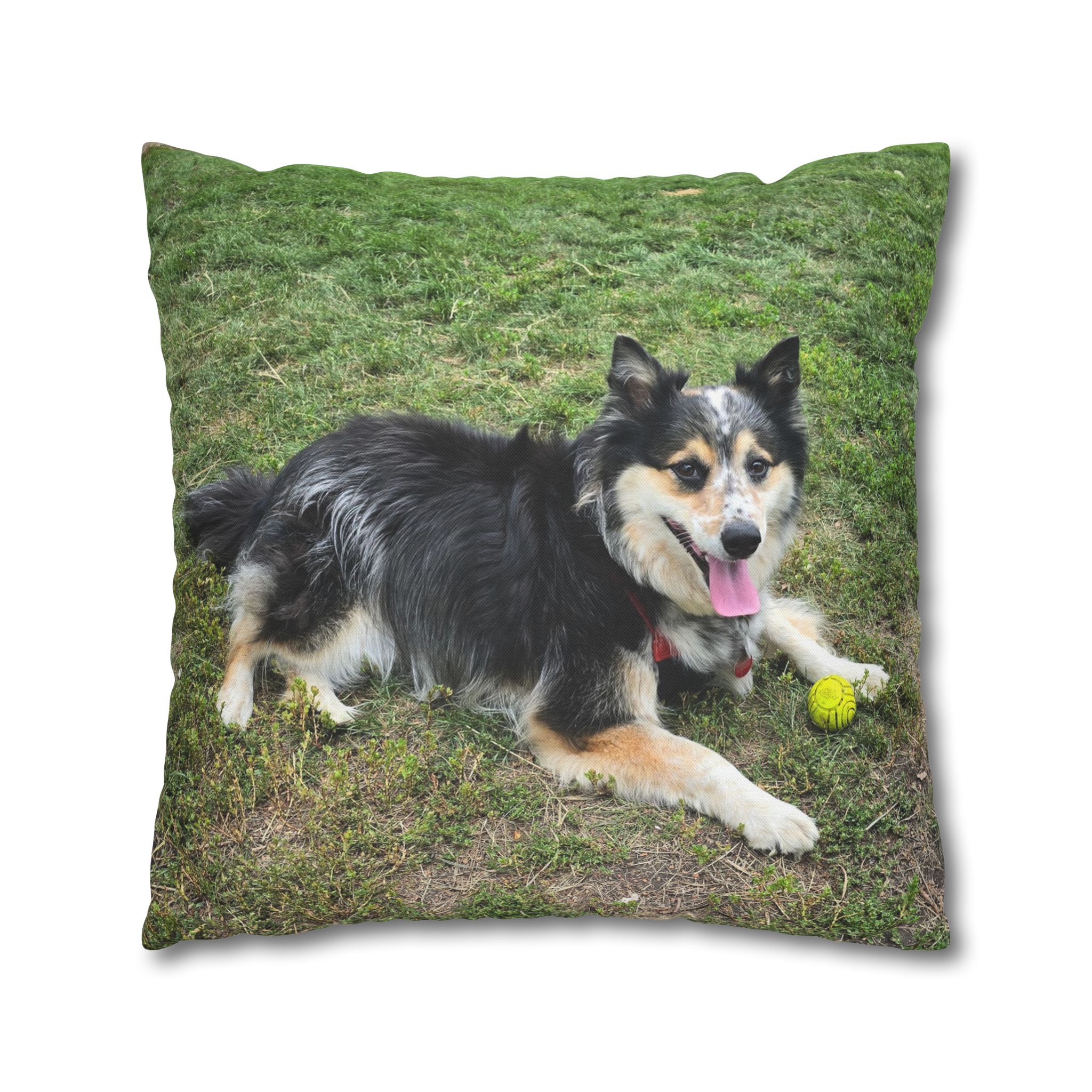 The Seto. Pillowcase — Outdoor Dog Photo Decorative Throw Pillow - Image 15