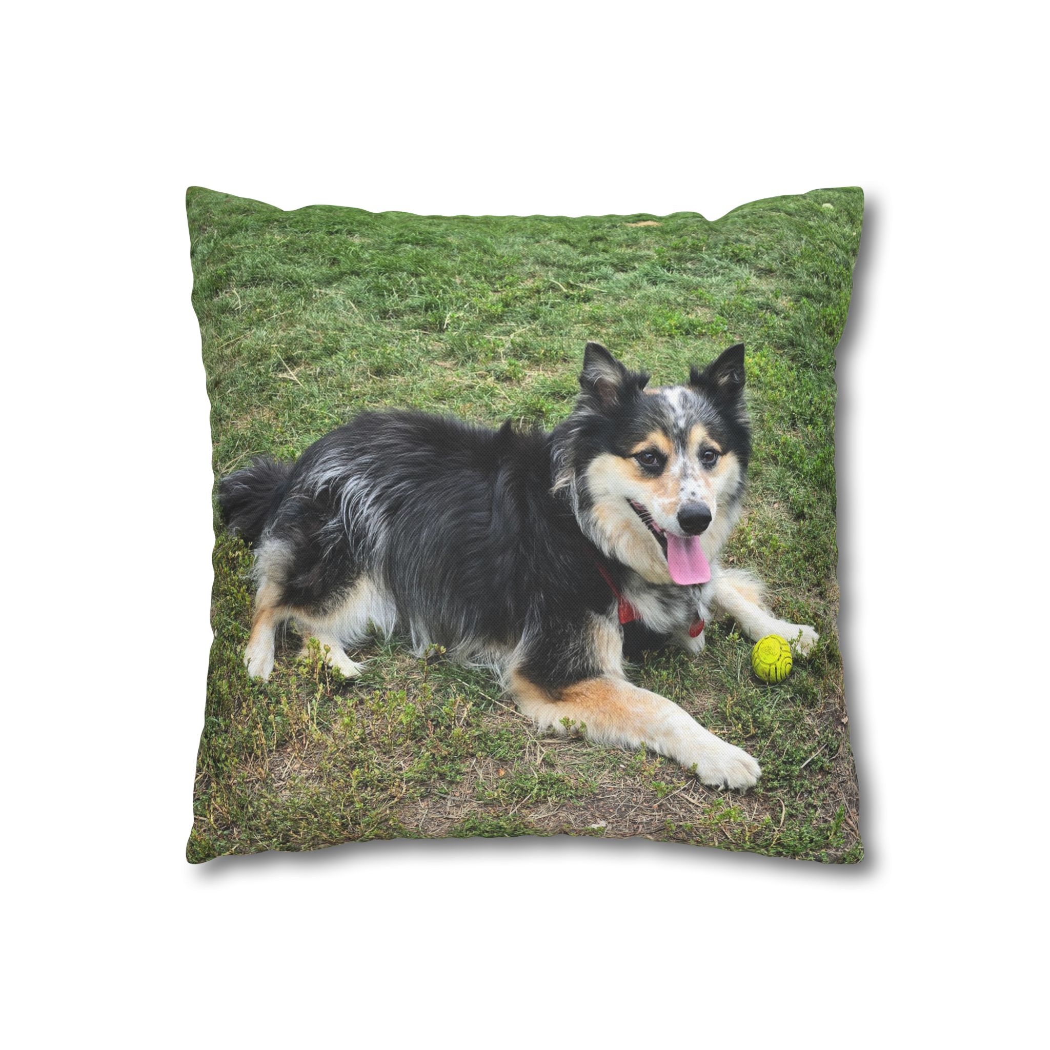 The Seto. Pillowcase — Outdoor Dog Photo Decorative Throw Pillow - Image 3