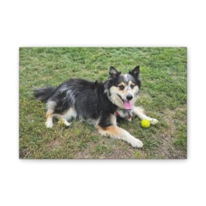 The Seto. Canvas Print — Custom Pet Photo Wall Art (Stretched Canvas)