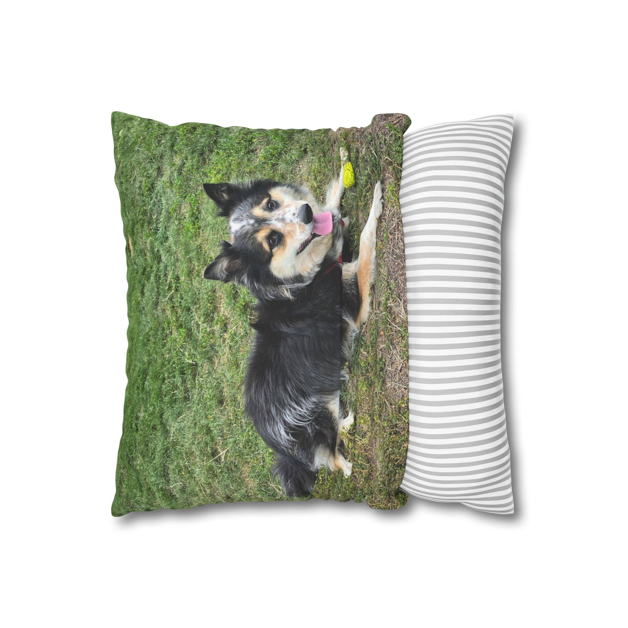 The Seto. Pillowcase — Outdoor Dog Photo Decorative Throw Pillow - Image 4