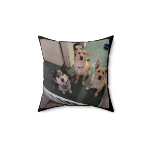Personalized Dog Photo Throw Pillow — Custom Pet Portrait Square Pillow