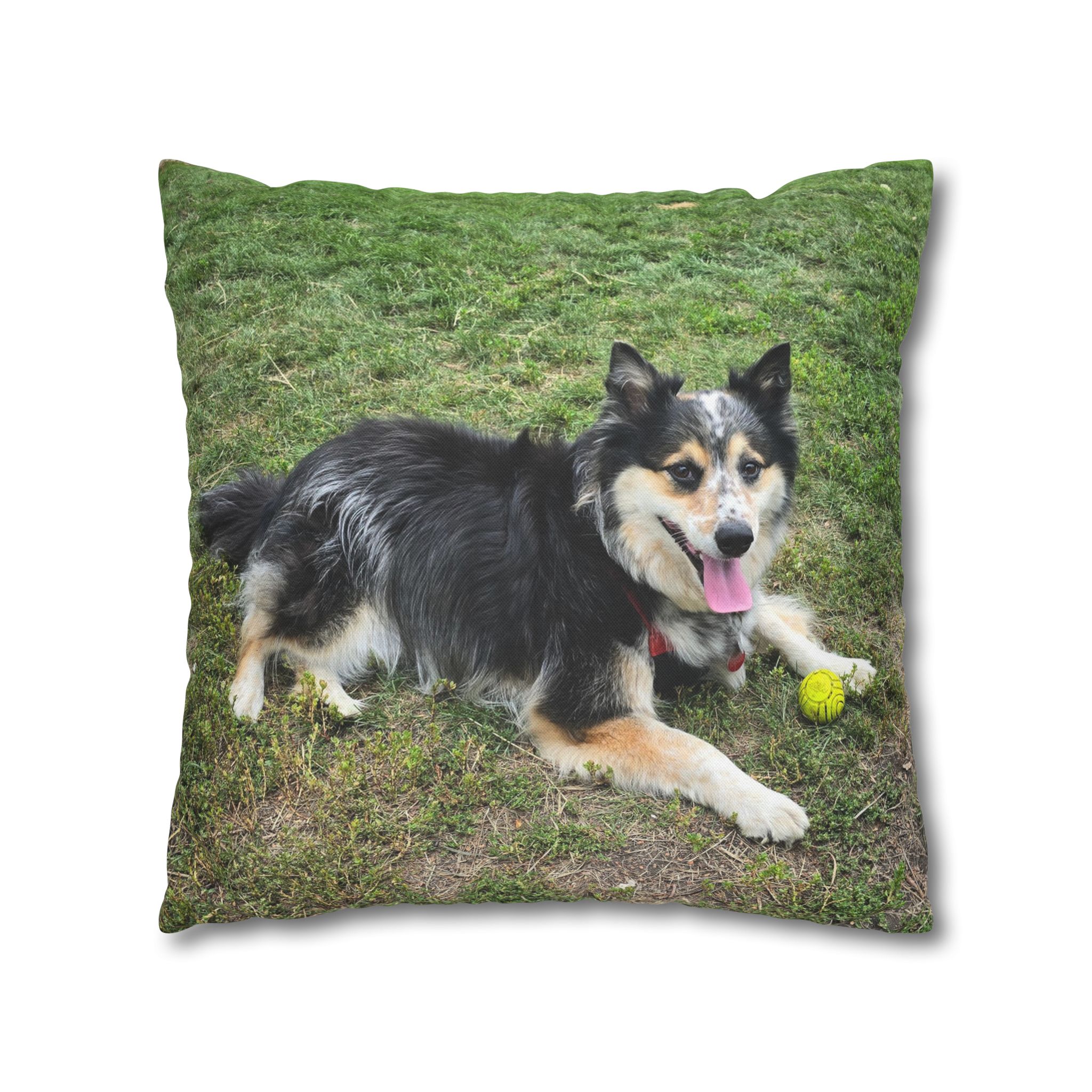 The Seto. Pillowcase — Outdoor Dog Photo Decorative Throw Pillow - Image 11