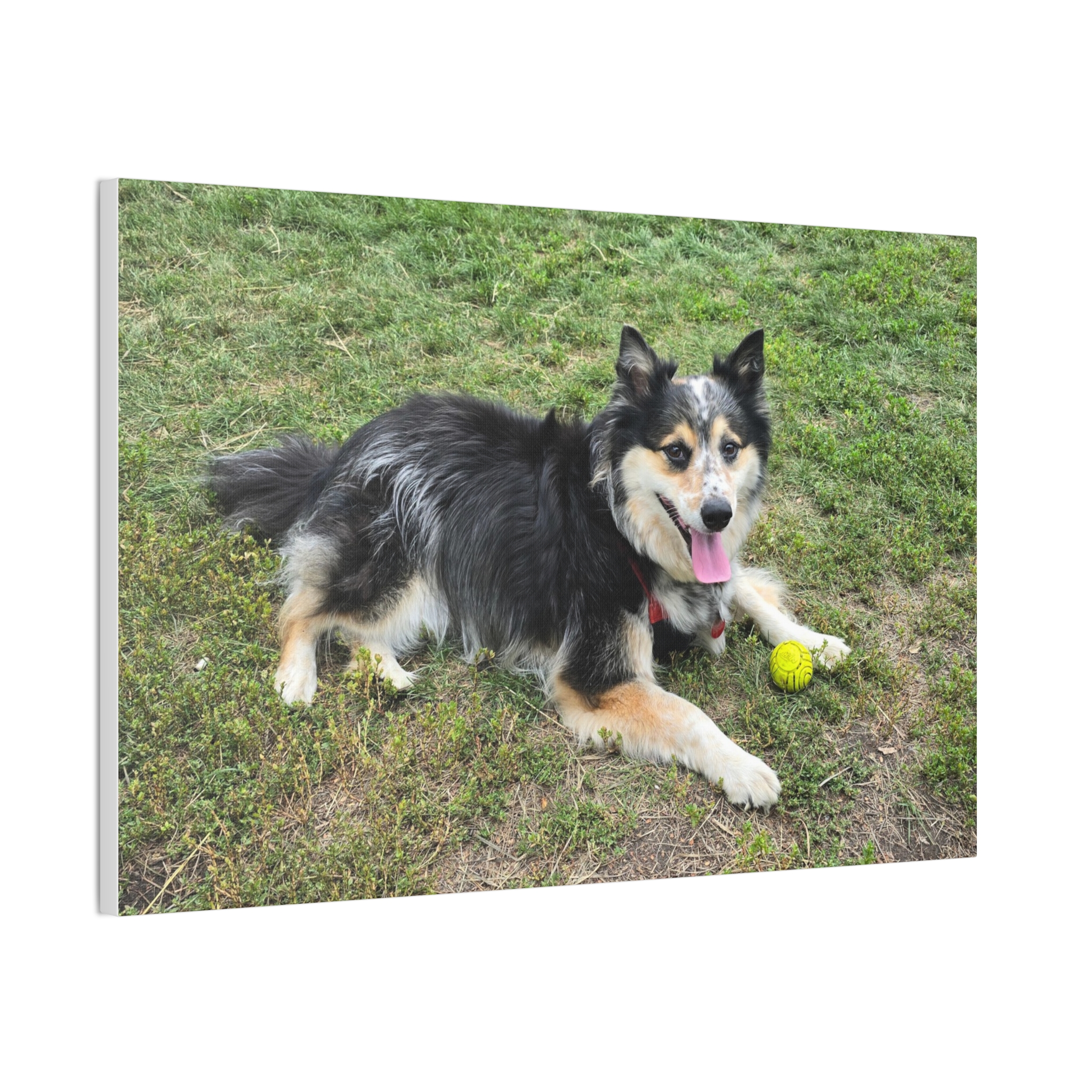 The Seto. - Wall Art (Stretched Canvas Print) - Image 6