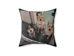 The Boys - Throw Pillow Case