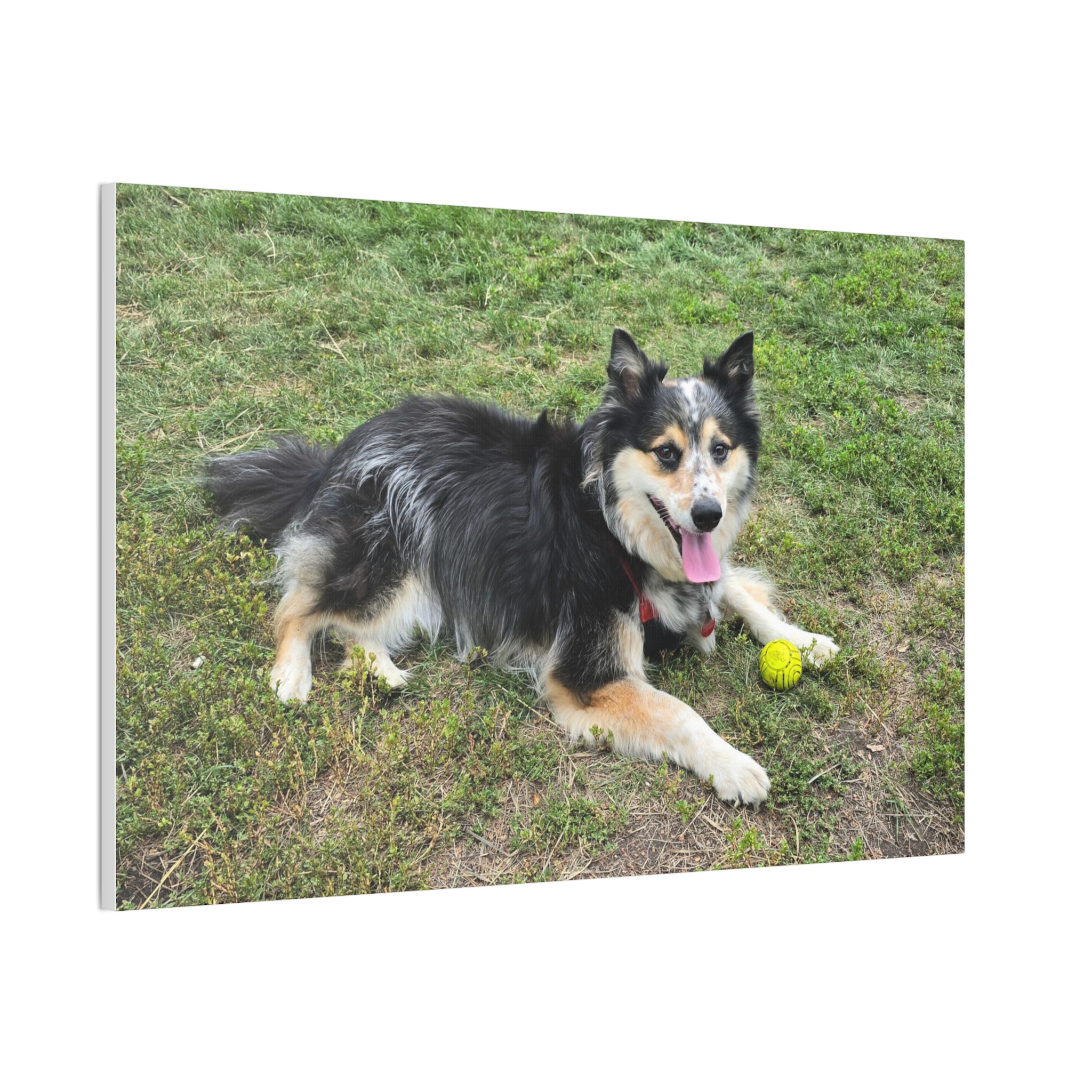 The Seto. - Wall Art (Stretched Canvas Print) - Image 10