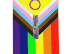 Friends of Art - Pride - Velveteen Plush Wall Flag