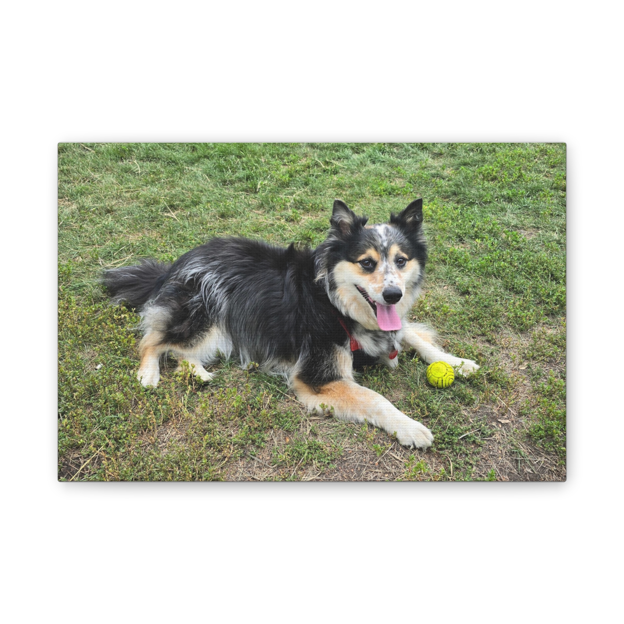 The Seto. - Wall Art (Stretched Canvas Print)