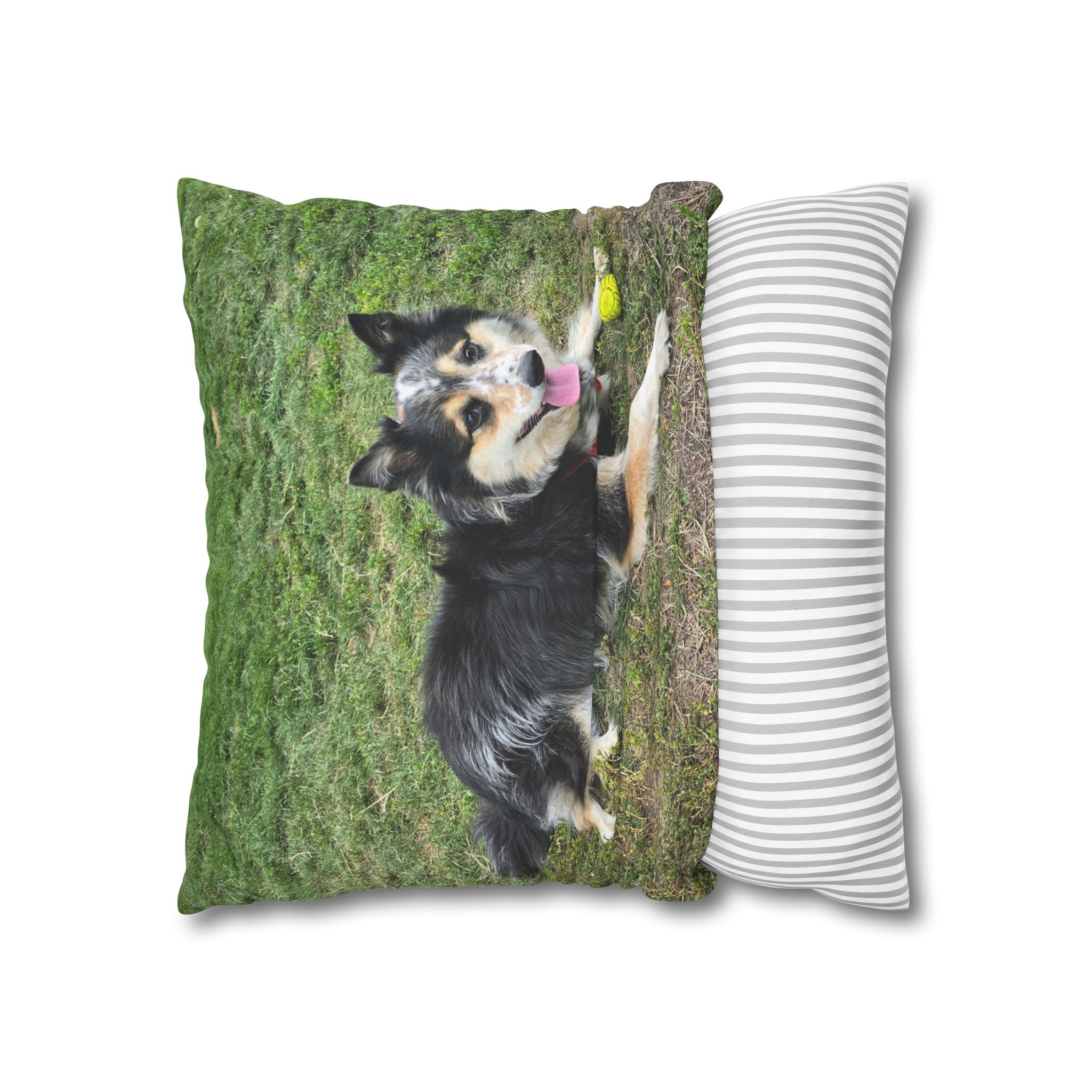 The Seto. Pillowcase — Outdoor Dog Photo Decorative Throw Pillow - Image 8